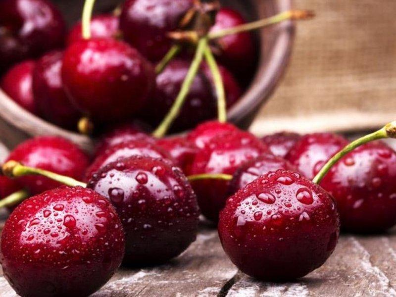 Вишня купить саженцы из питомника в Кемерово